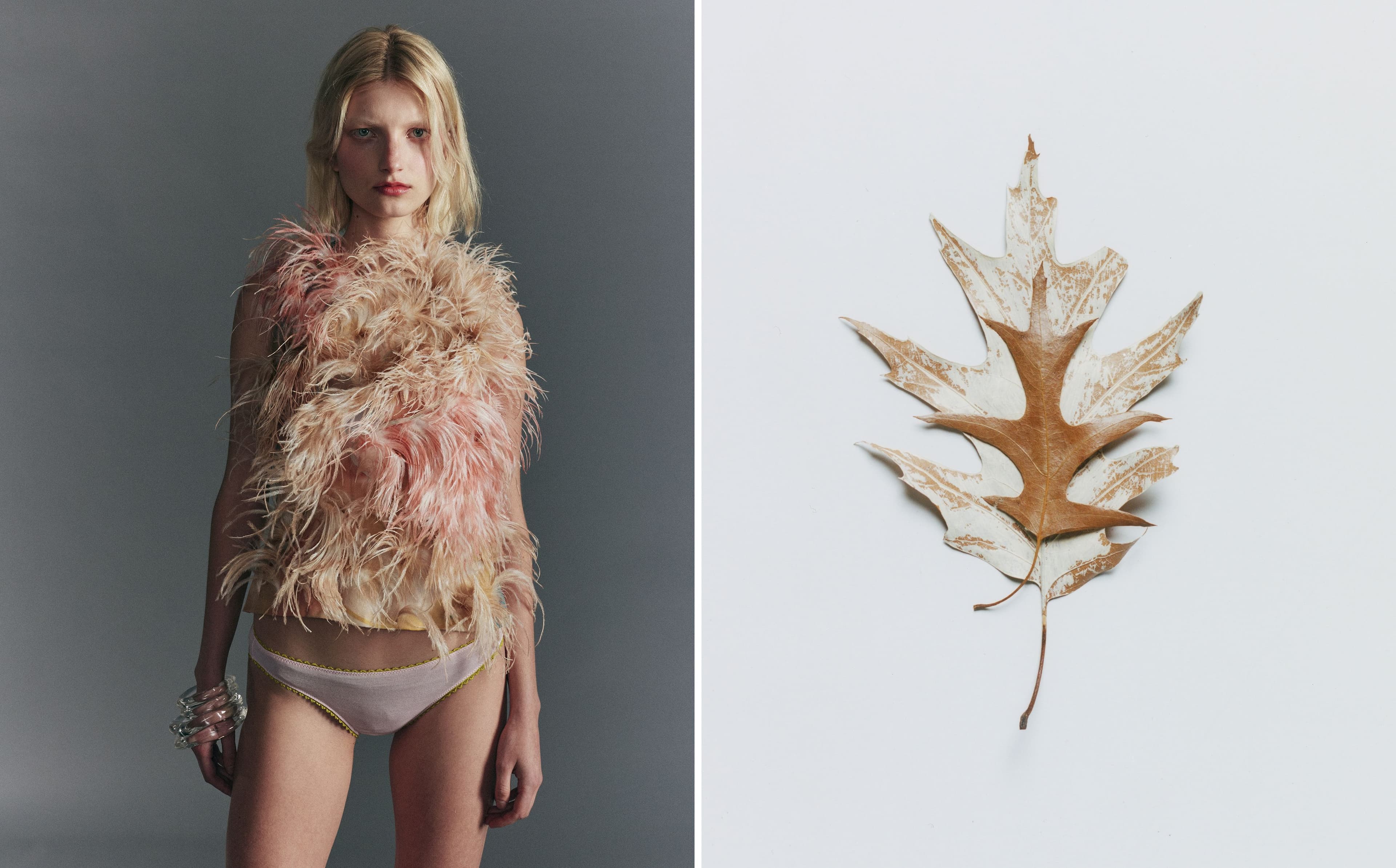 TOP by Ulla Johnson; UNDERWEAR by Araks; BRACELETS by Alexis Bittar