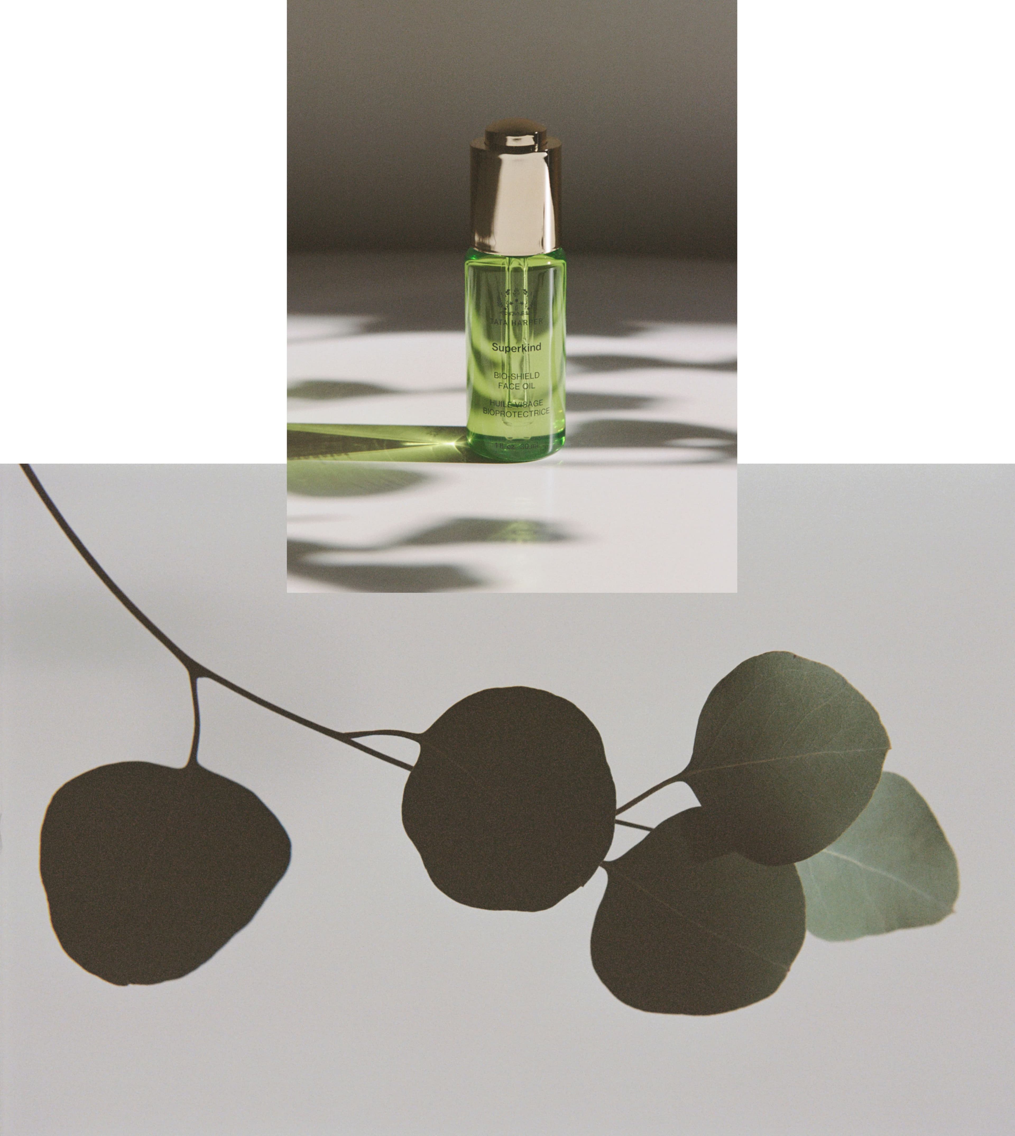 Sustainable Beauty