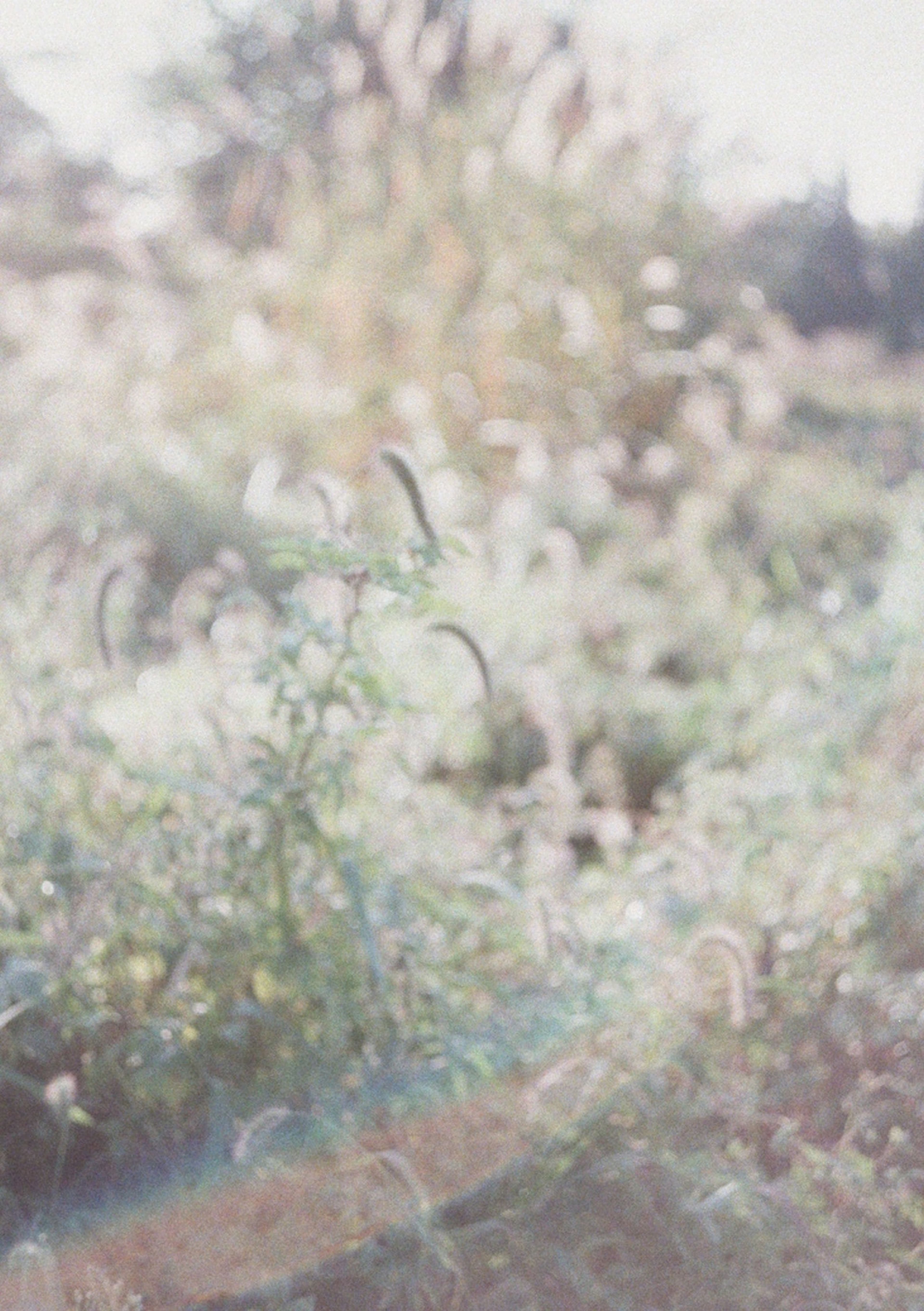 Kiko Kostadinov Womenswear — Tokyo