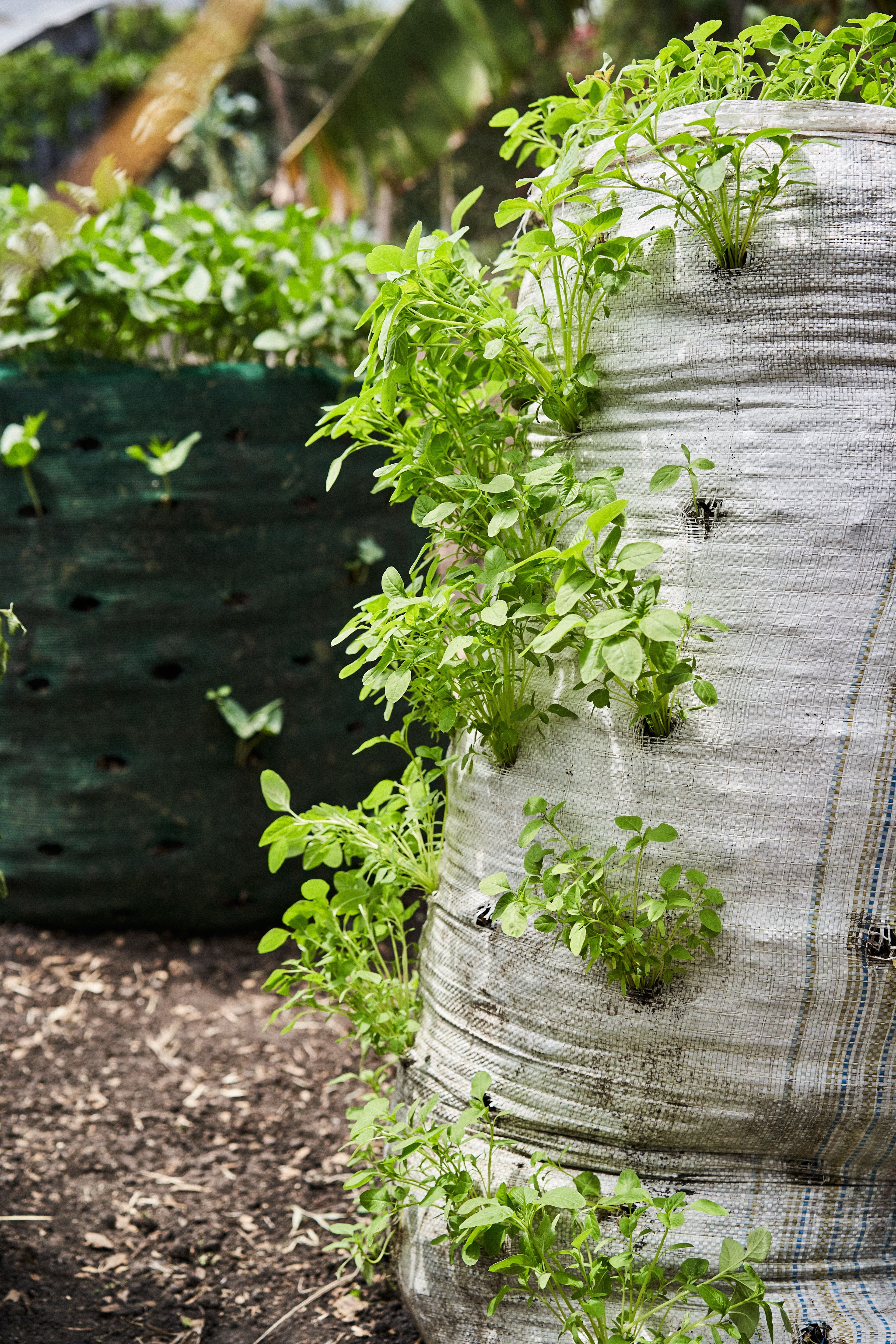 Generation Next: Maureen Muketha