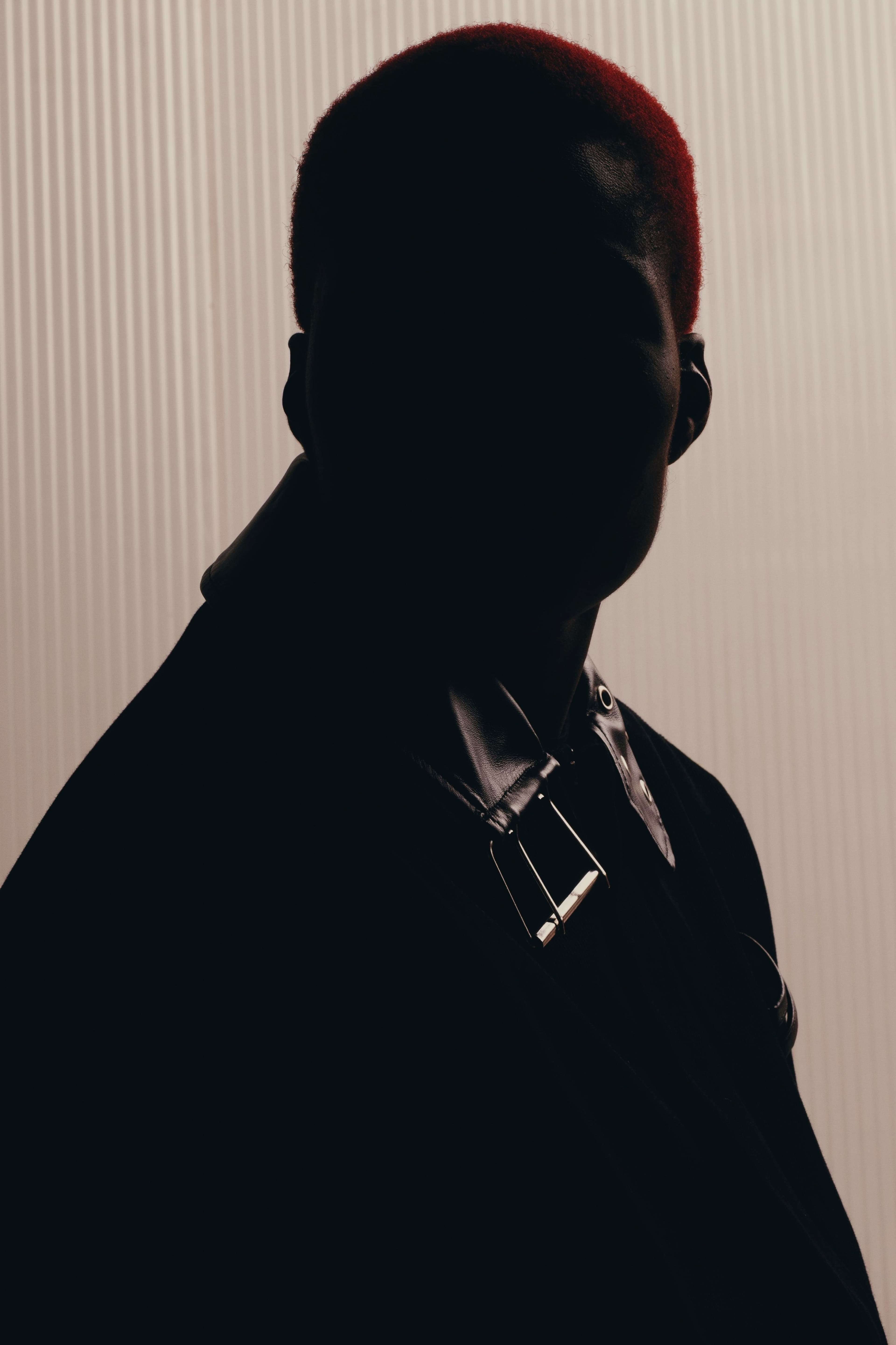 JACKET by a.v. vattev