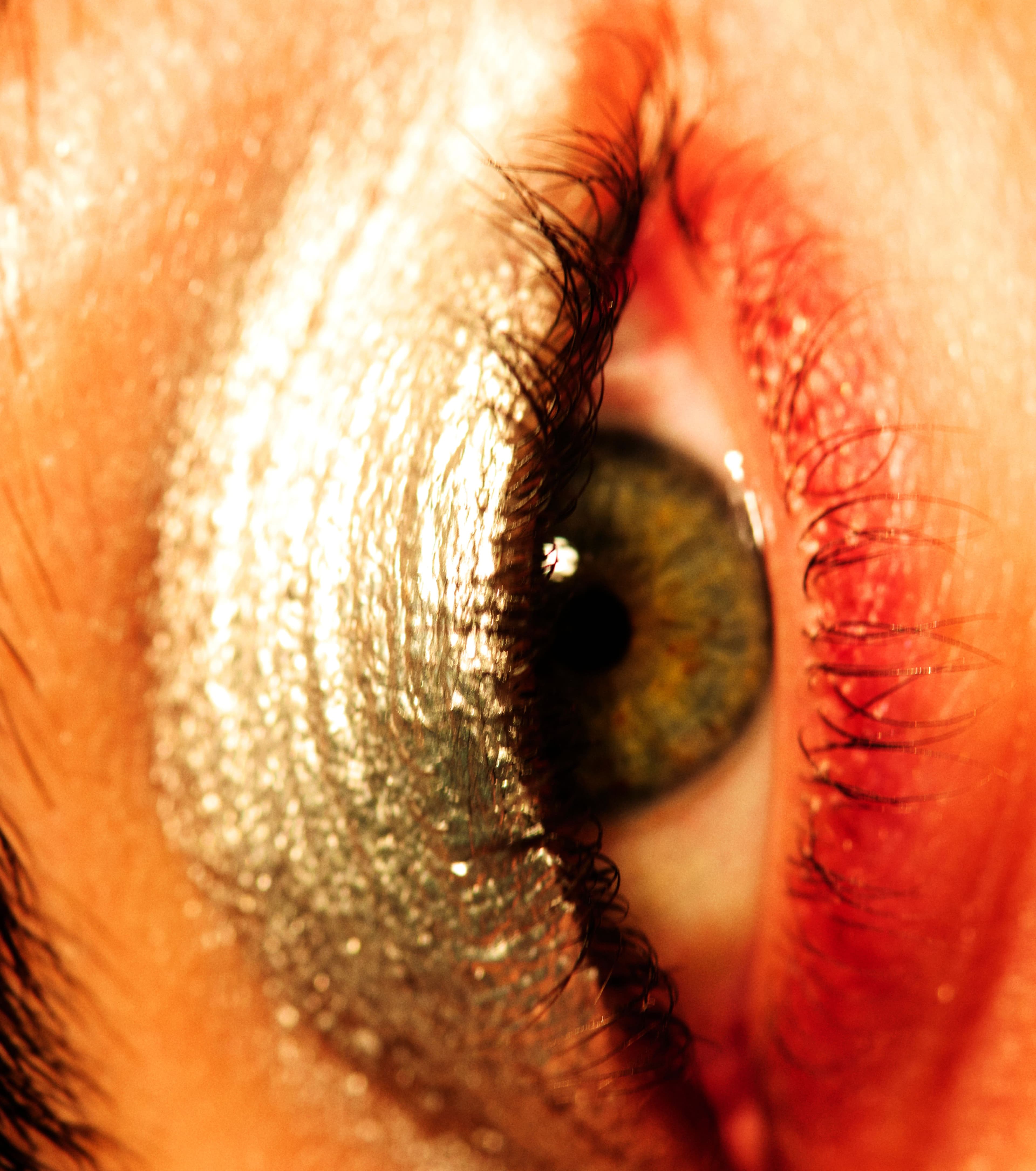 The 2025 LVMH Prize: August Barron