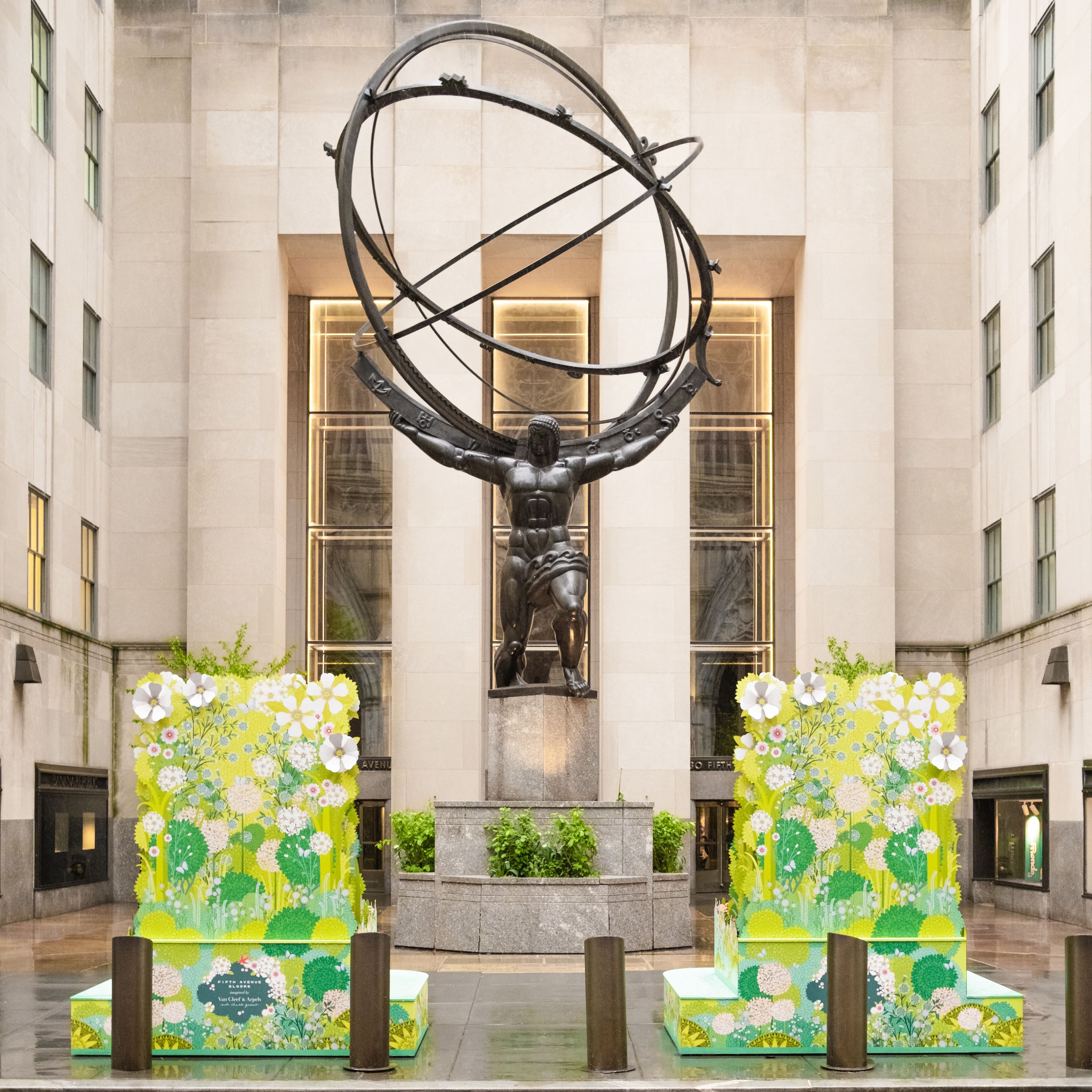 Charlotte Gastaut Fifth Avenue Blooms
