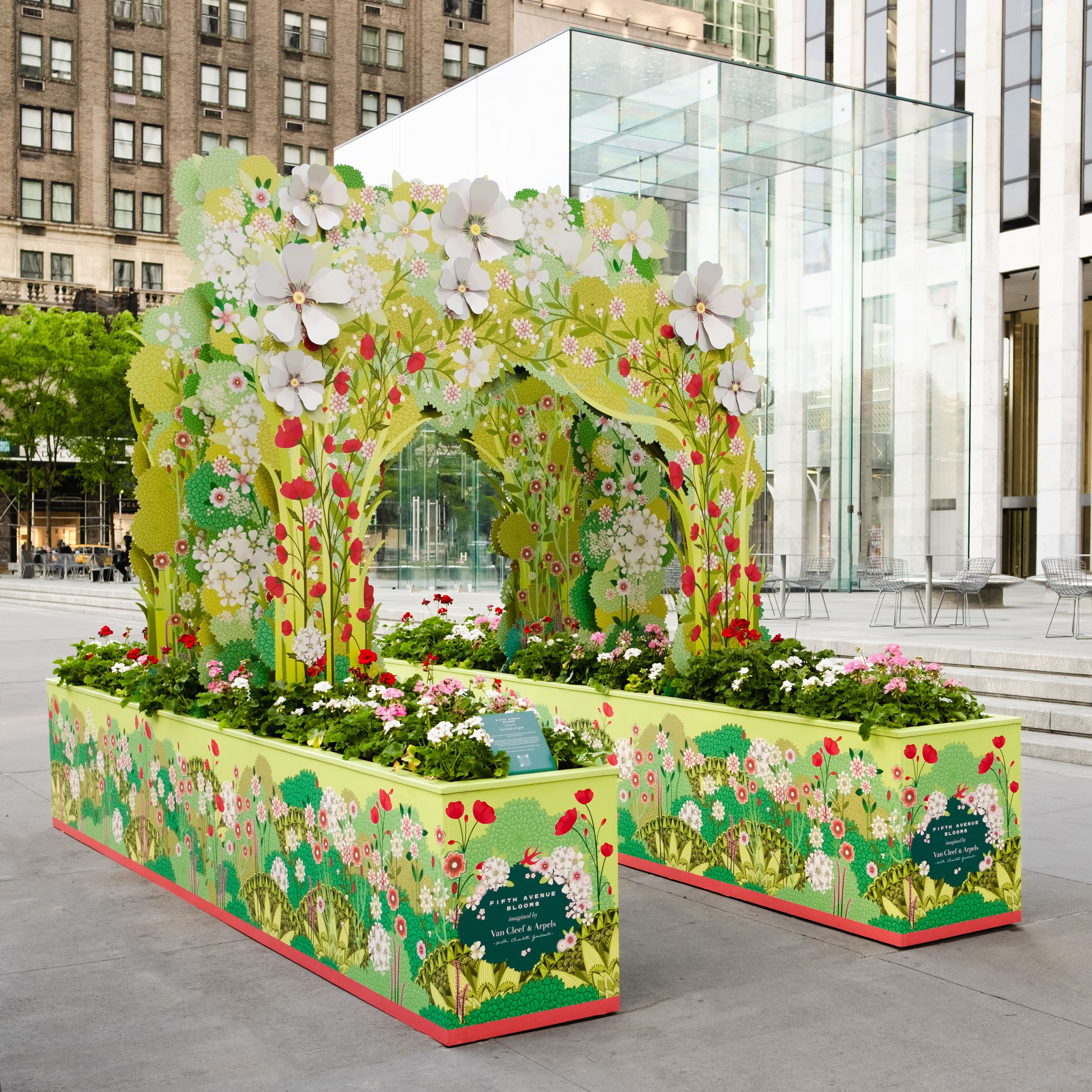 Charlotte Gastaut Fifth Avenue Blooms