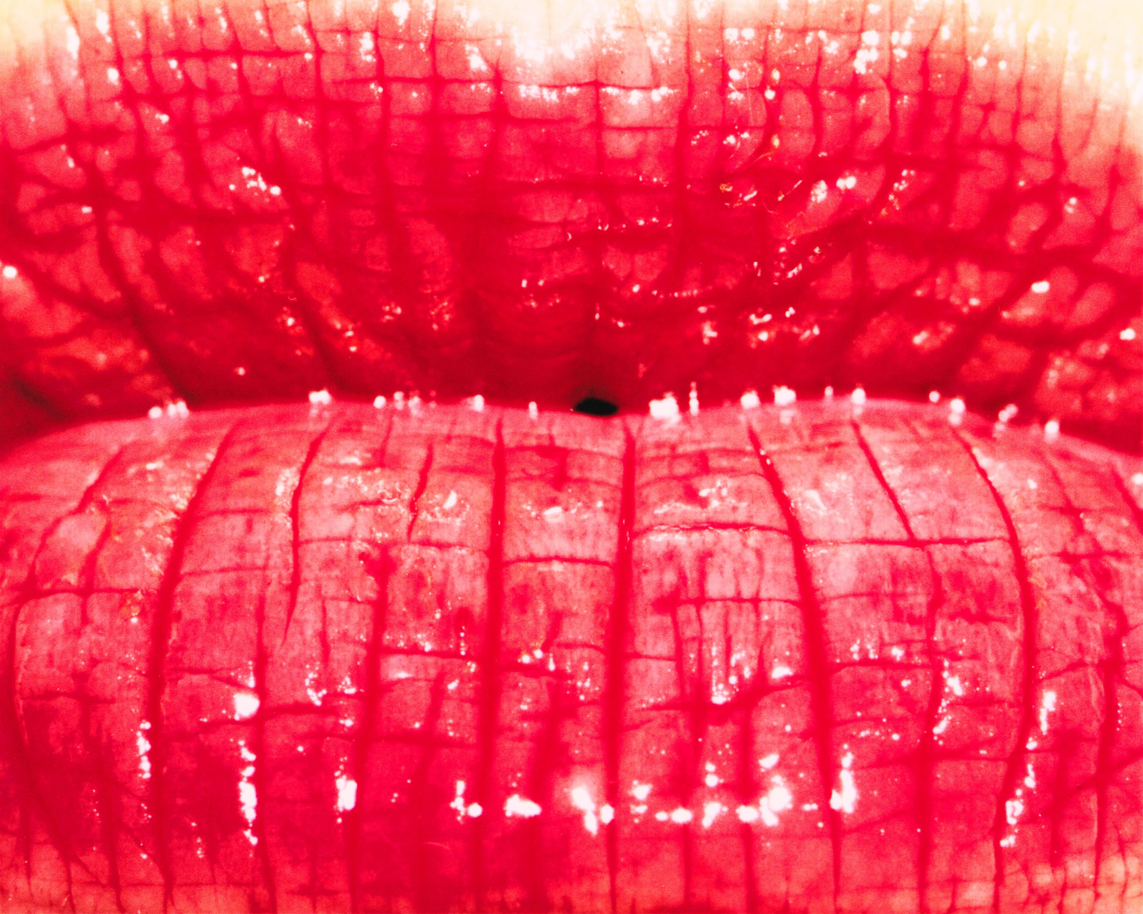 The 2025 LVMH Prize: August Barron