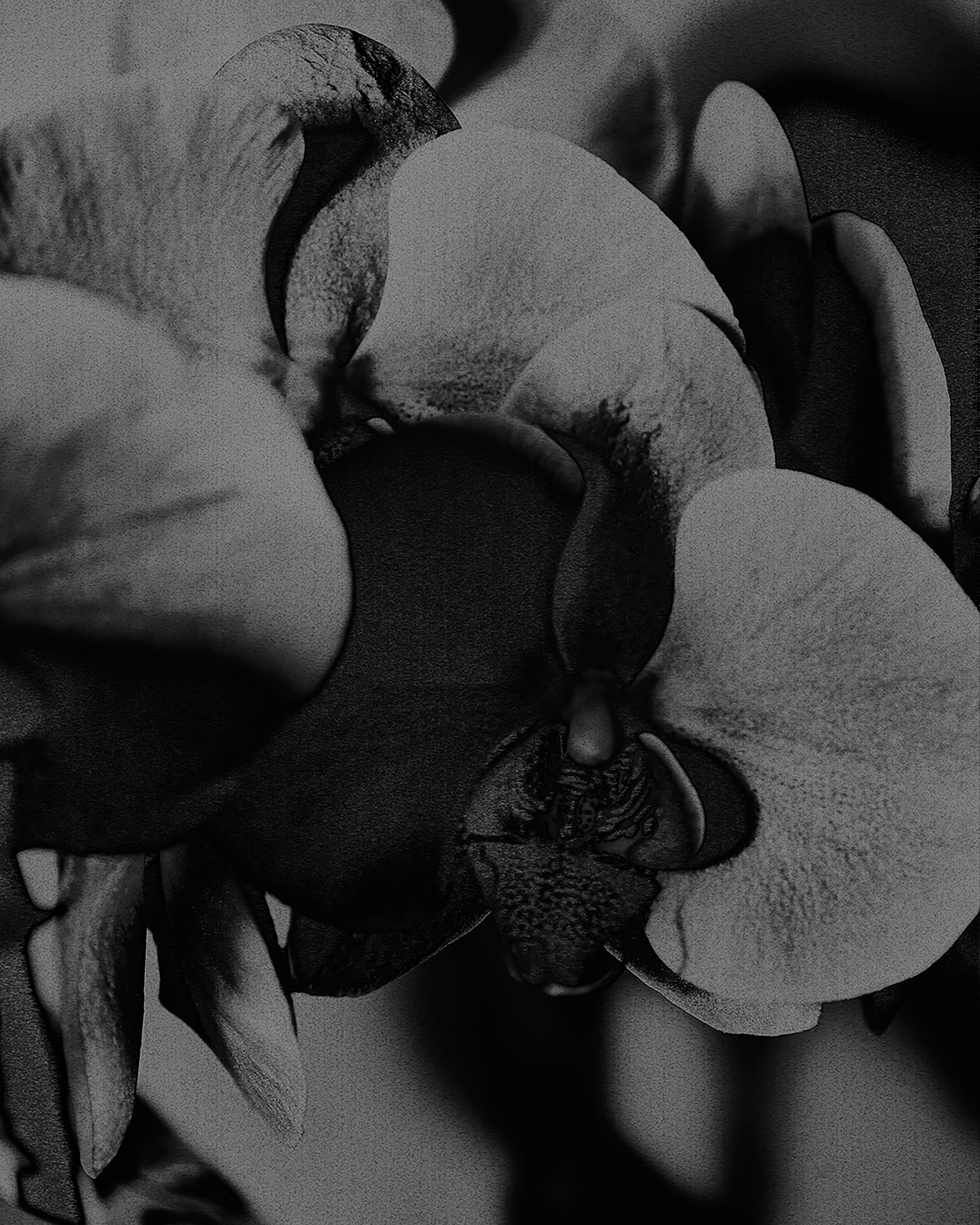 Andrew Burnap Asks the Tough Questions