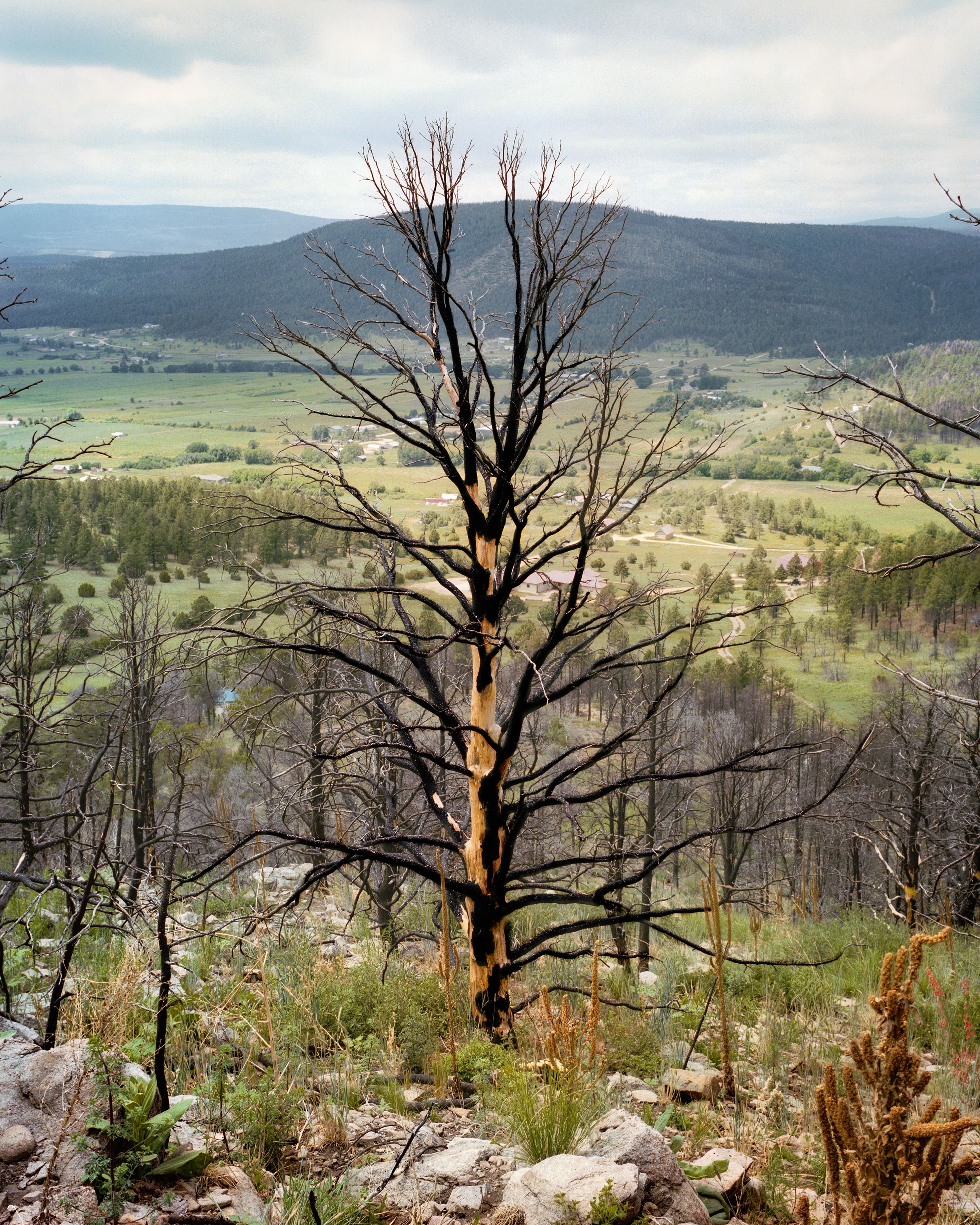 Mora, New Mexico